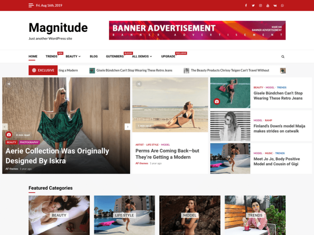 WordPress theme Image